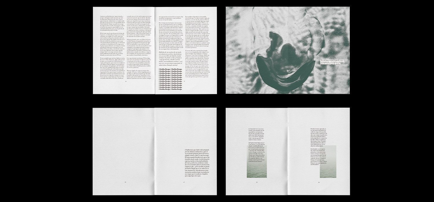 Libro paginas
