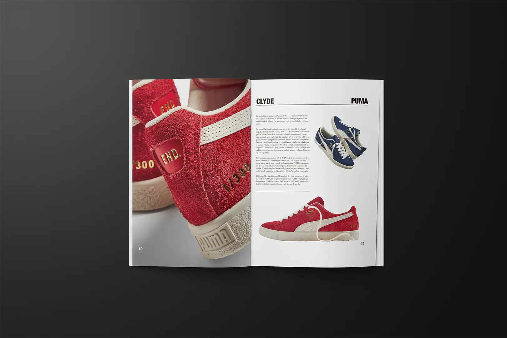 Revista paginas 10-11