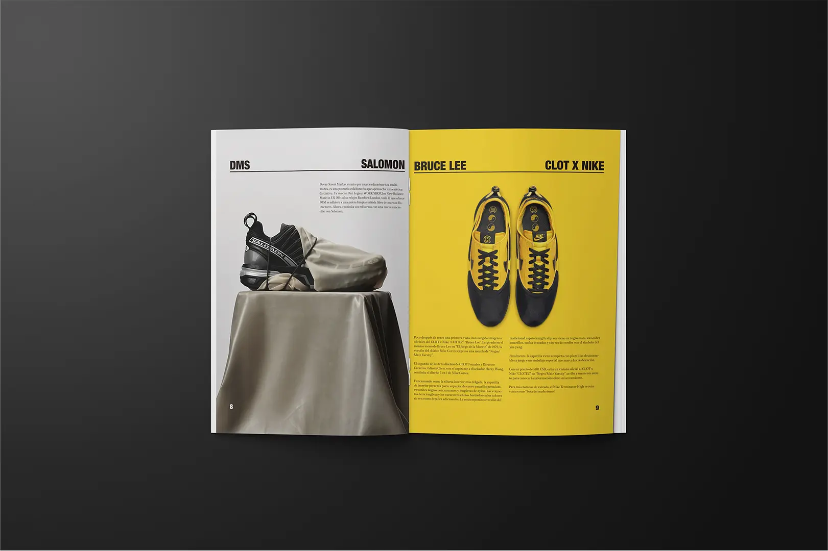 Revista paginas 8-9