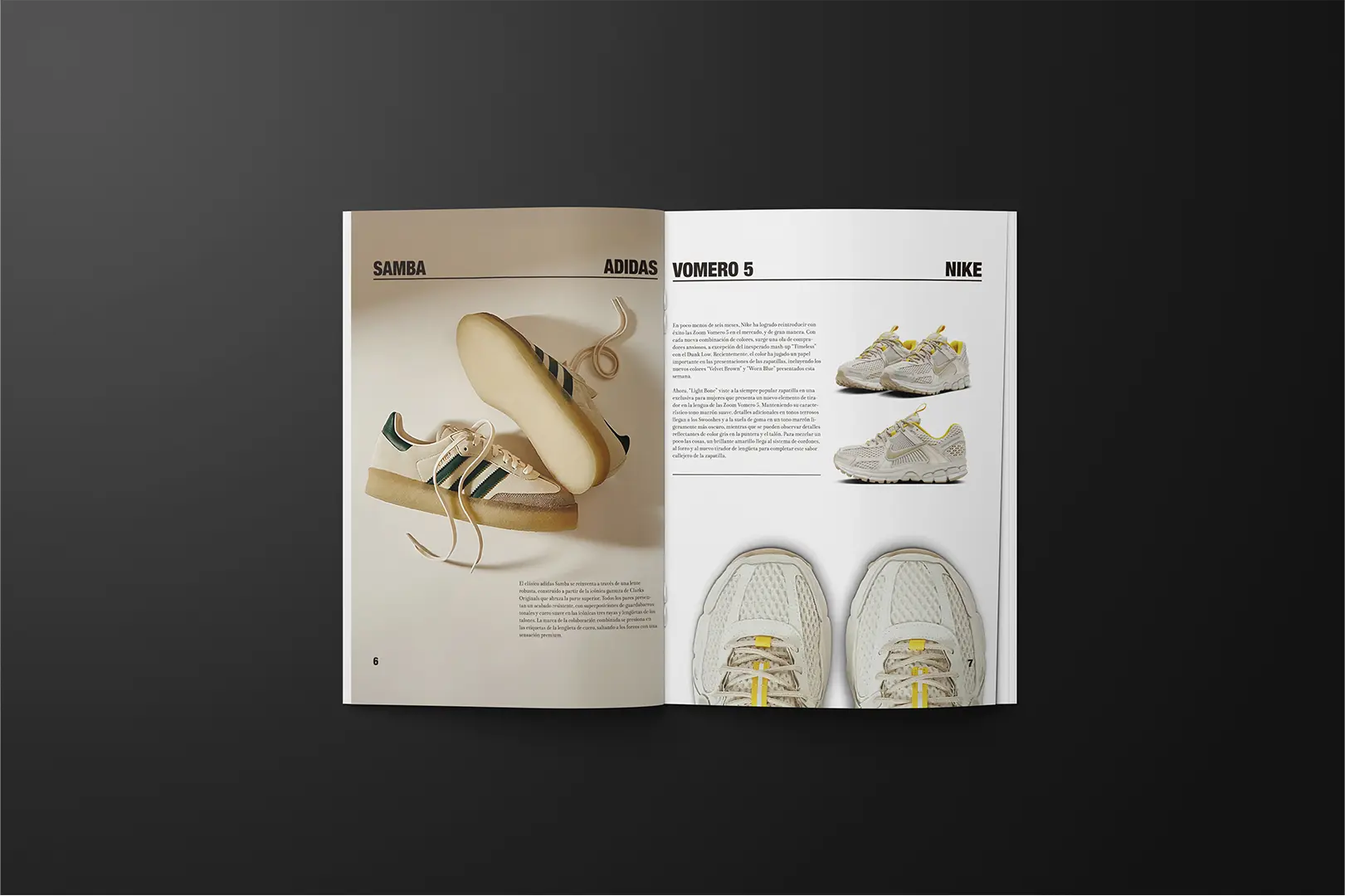 Revista paginas 6-7
