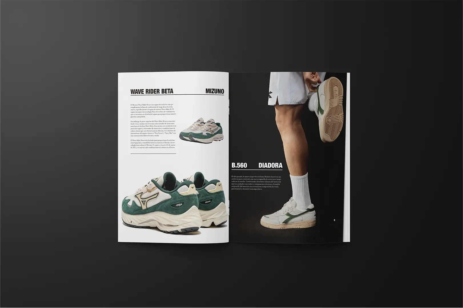 Revista paginas 4-5