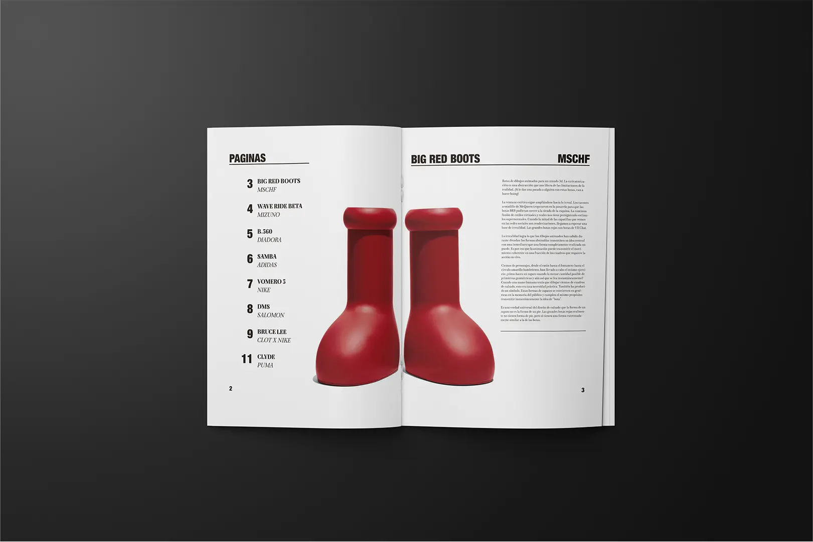 Revista paginas 2-3